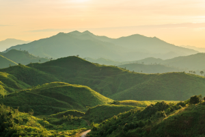 Screenshot 2025-11-18 082140